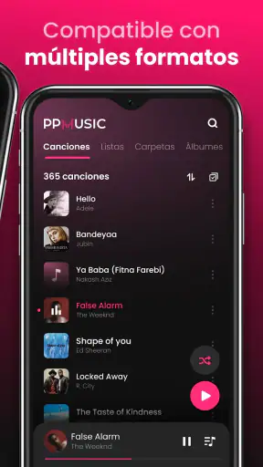 Reproductor de Música Offline screenshot
