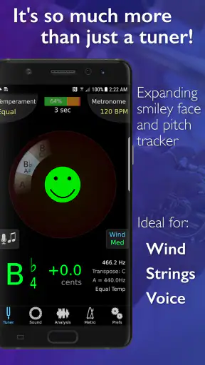 TonalEnergy Afinador y Metrón. screenshot
