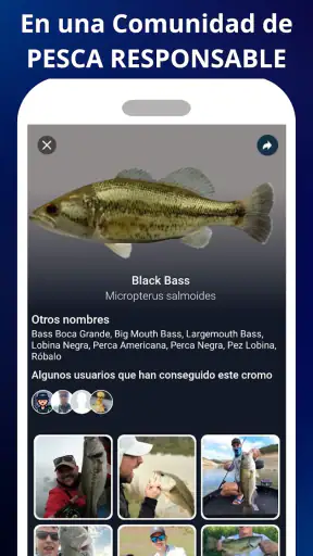 WeFish | Predicción de pesca screenshot