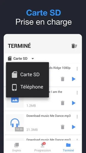 Téléchargeur de Vidéo screenshot