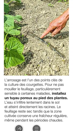 Rustica l'hebdo jardin screenshot