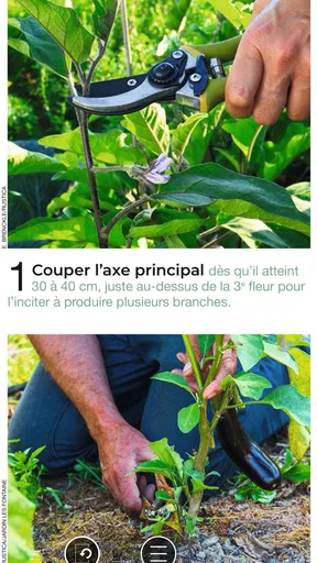 Rustica l'hebdo jardin screenshot