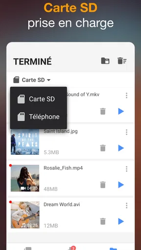 Téléchargeur de Vidéo screenshot
