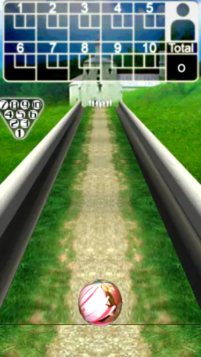3D Bowling screenshot