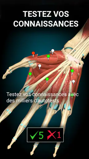 Anatomy Learning - Anatomie 3D screenshot