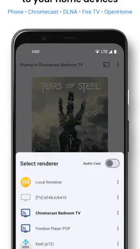 BubbleUPnP UPnP/DLNA Licence screenshot