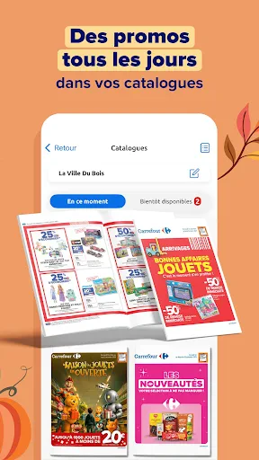 Carrefour France screenshot