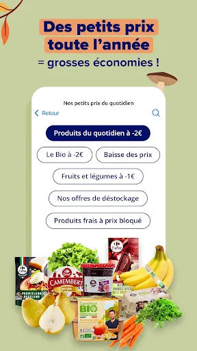 Carrefour France screenshot