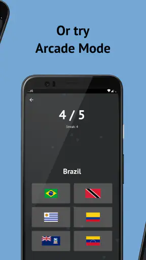 Drapeaux des pays du monde screenshot