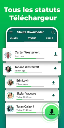 Économiseur de statut screenshot