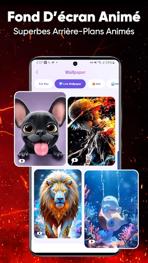 Écran Zipper & Fonds screenshot