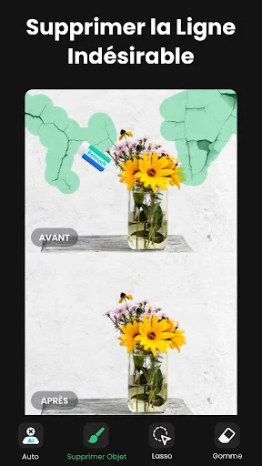 Effacer Objet sur Photo &Gomme screenshot