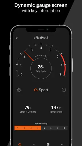eFlexApp screenshot