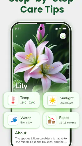 Identificateur de plantes screenshot