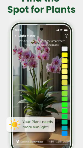 Identificateur de plantes screenshot