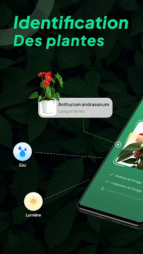 LeafSnap Plant Identification screenshot