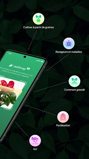 LeafSnap Plant Identification screenshot
