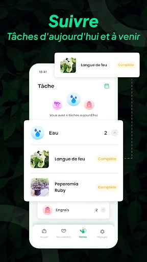 LeafSnap Plant Identification screenshot
