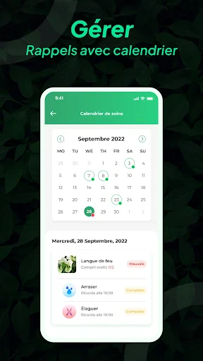 LeafSnap Plant Identification screenshot