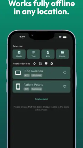 LocalSend: Transfer Files screenshot