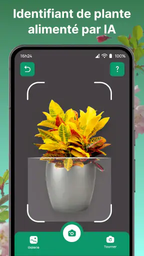 Plantes Reconnaissance App screenshot