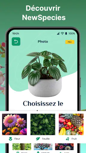 Plantes Reconnaissance App screenshot