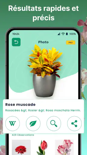 Plantes Reconnaissance App screenshot
