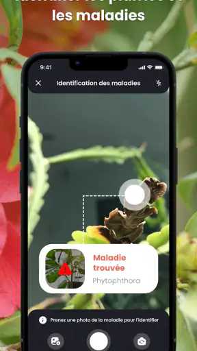 PlantIn plantes reconnaissance screenshot
