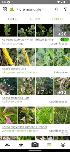 PlantNet Identification Plante screenshot