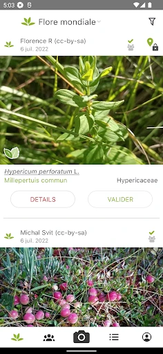 PlantNet Identification Plante screenshot