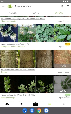 PlantNet Identification Plante screenshot