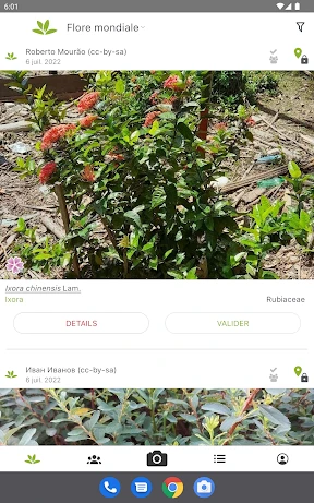 PlantNet Identification Plante screenshot