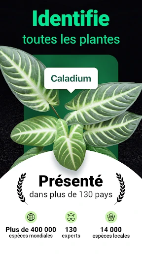 Plantum:reconnaissance plante screenshot