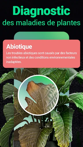 Plantum:reconnaissance plante screenshot