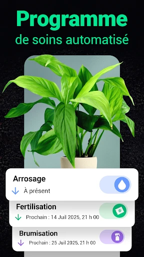 Plantum:reconnaissance plante screenshot