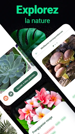Plantum:reconnaissance plante screenshot