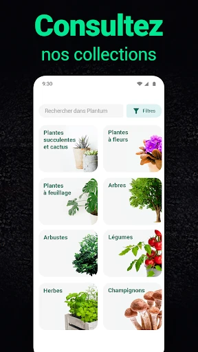 Plantum:reconnaissance plante screenshot