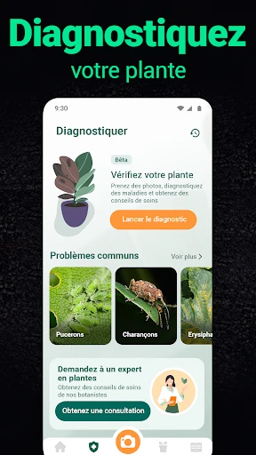 Plantum:reconnaissance plante screenshot