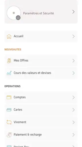 Pocket Bank screenshot