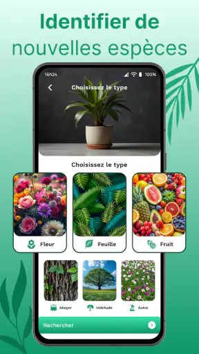 Reconnaitre Fleurs et Plantes screenshot
