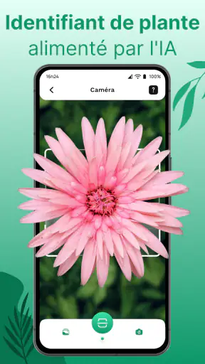Reconnaitre Fleurs et Plantes screenshot