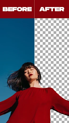 Remove Background From Video screenshot