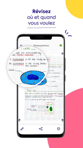 SCRIBZEE® screenshot