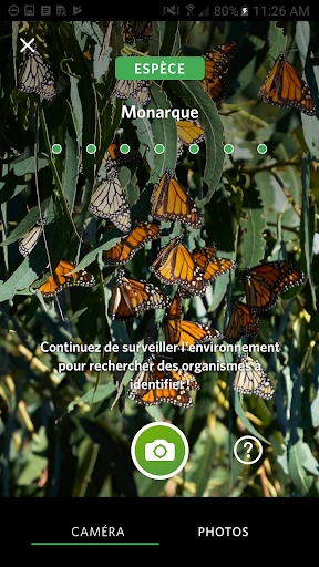 Seek par iNaturalist screenshot