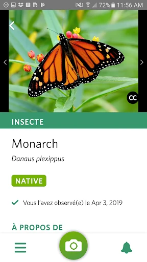 Seek par iNaturalist screenshot