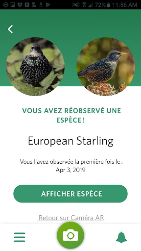 Seek par iNaturalist screenshot