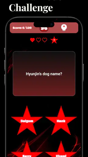 Stray Kids Challenge : SKZ screenshot