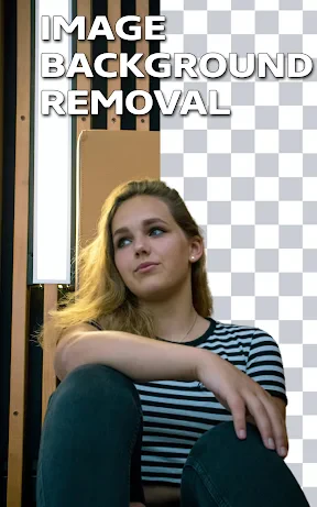 Video Background Remover screenshot