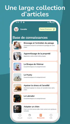 WoofLearn : Éducation du Chien screenshot