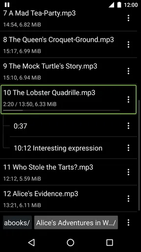Simple Audiobook Player + screenshot